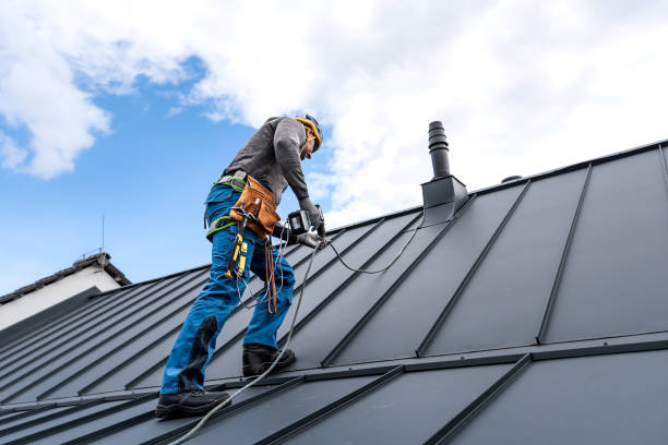 Best Sheet Metal Roofing  in Jim Thorpe, PA